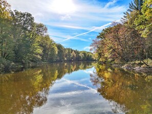 A calm river with trees reflecting on the water, surrounded by a forest. - Secluded Riverfront Cottage | Sauna, Fire & Kayaks (Evart)