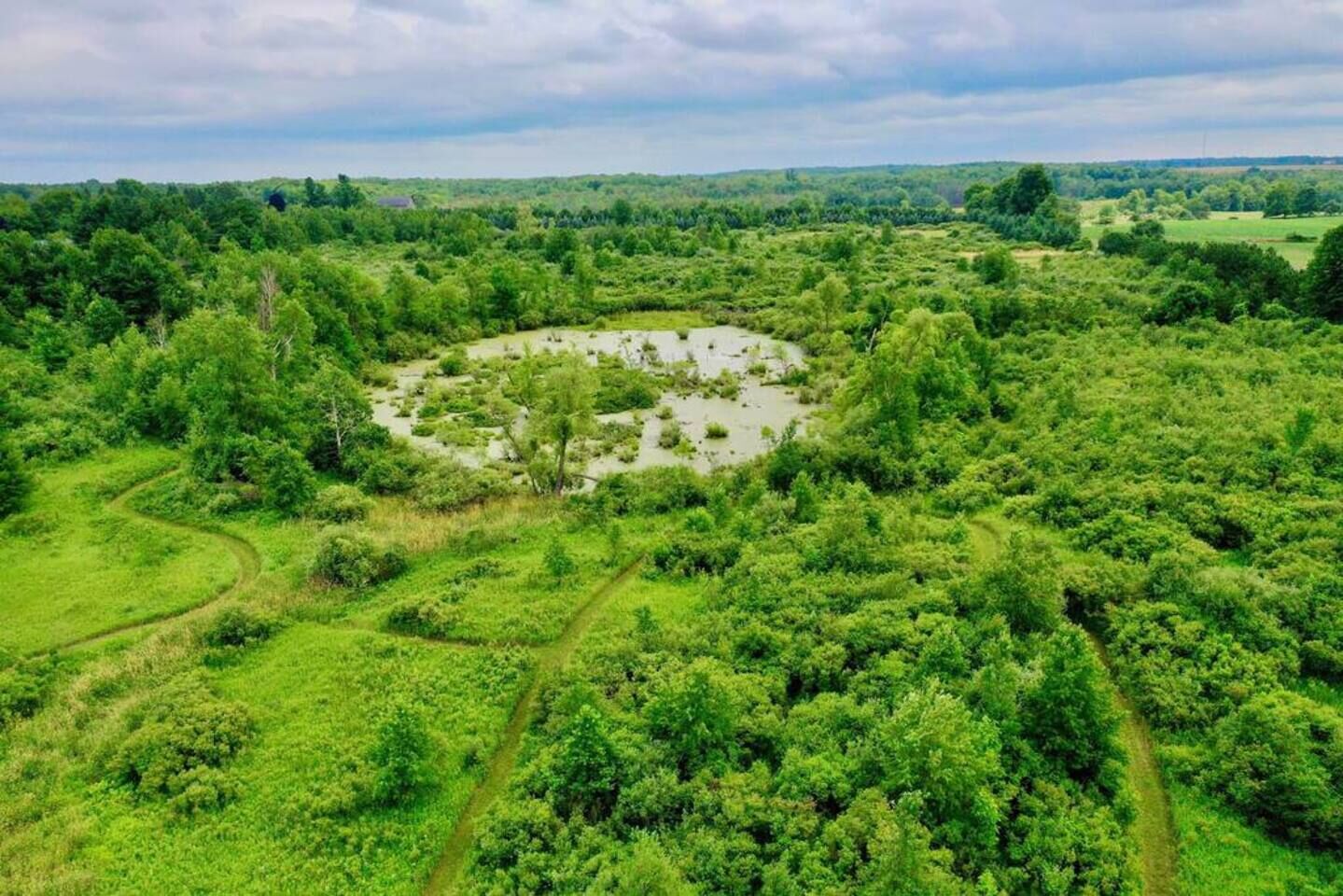 An aerial view of a lush green landscape with a circular clearing surrounded by dense vegetation.