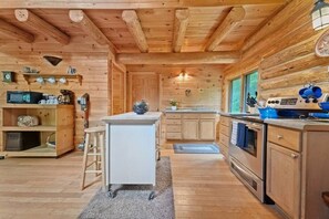 Fridge, microwave, oven, stovetop - Secluded | Sauna, Fire Pit & 20 Acres of Trails (Evart)