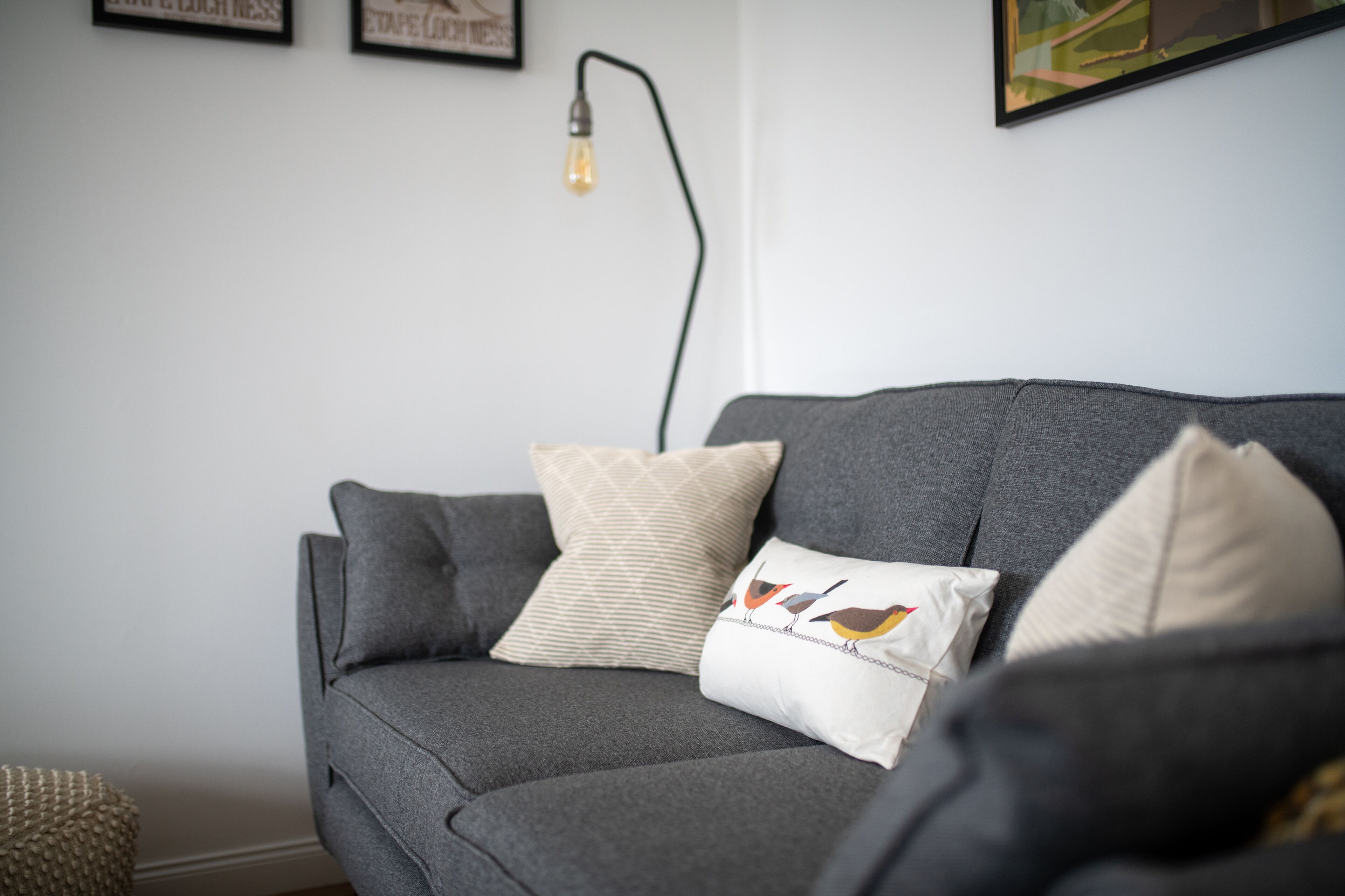 A grey sofa with two pillows, one plain and one with a bird design, in a room with a framed picture on the wall and a lamp with a light bulb.