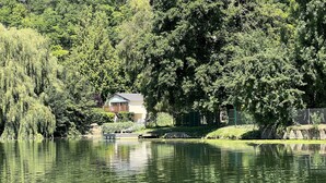 A house with a balcony overlooking a lake, surrounded by dense trees. - Casa Belavista, seine view and jacuzzi (Connelles)