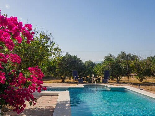 Cubo's Cortijo La Bolina / Private pool / Rural tourism