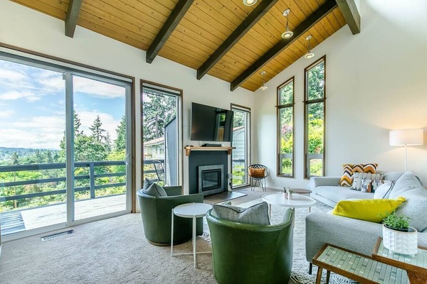 TV, fireplace, books