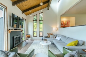 TV, fireplace, books