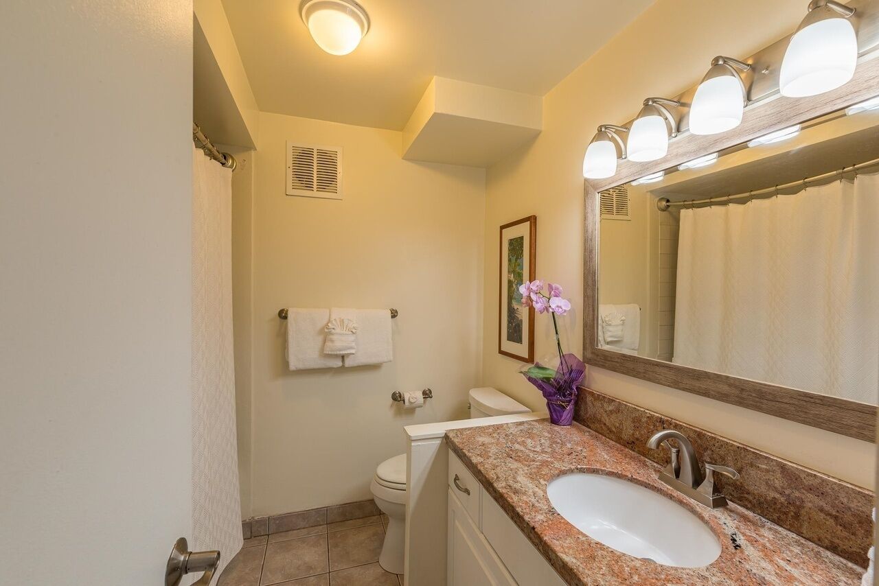 Bathtub, hair dryer, towels, soap