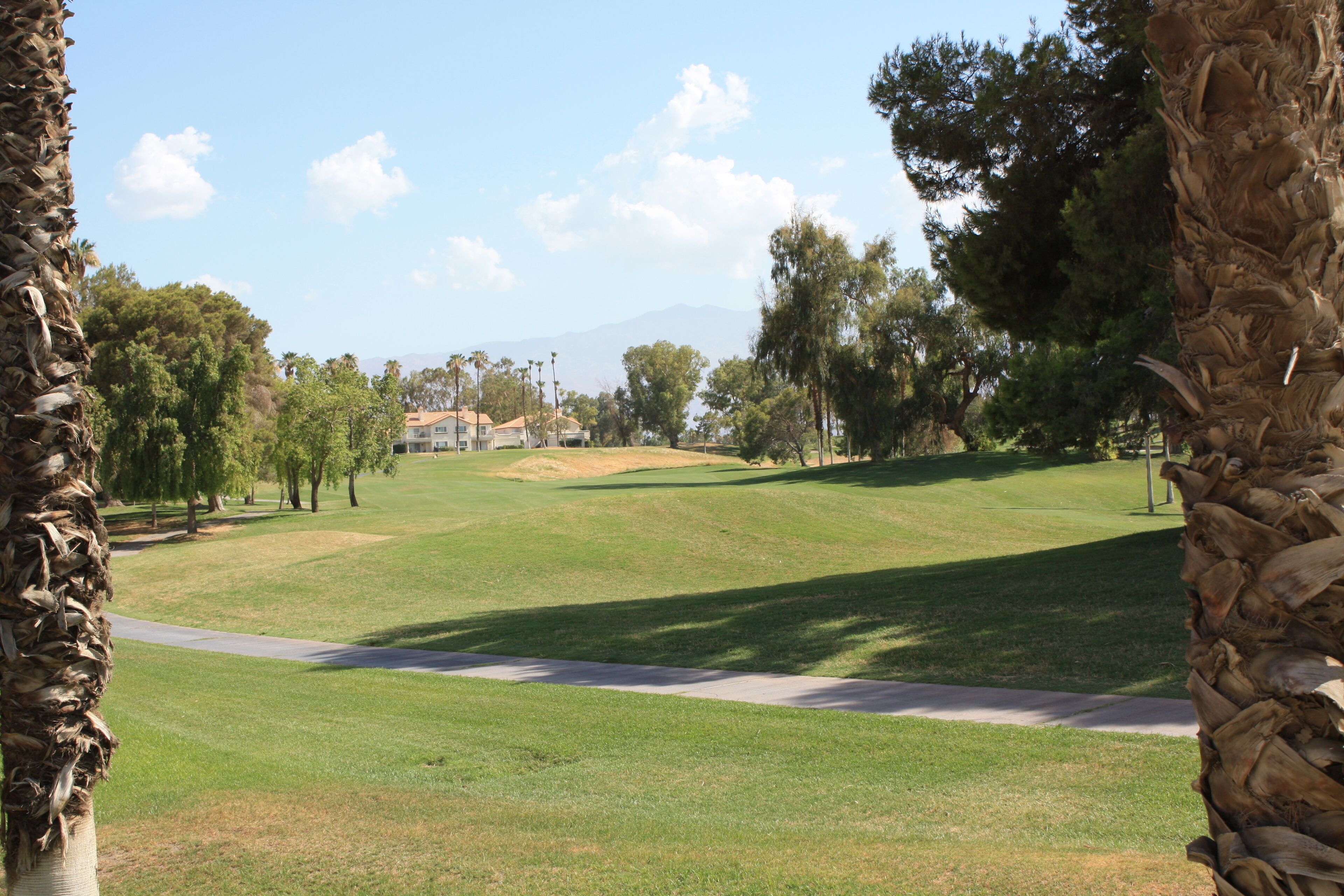 A golf course with a pathway, trees, and distant buildings.