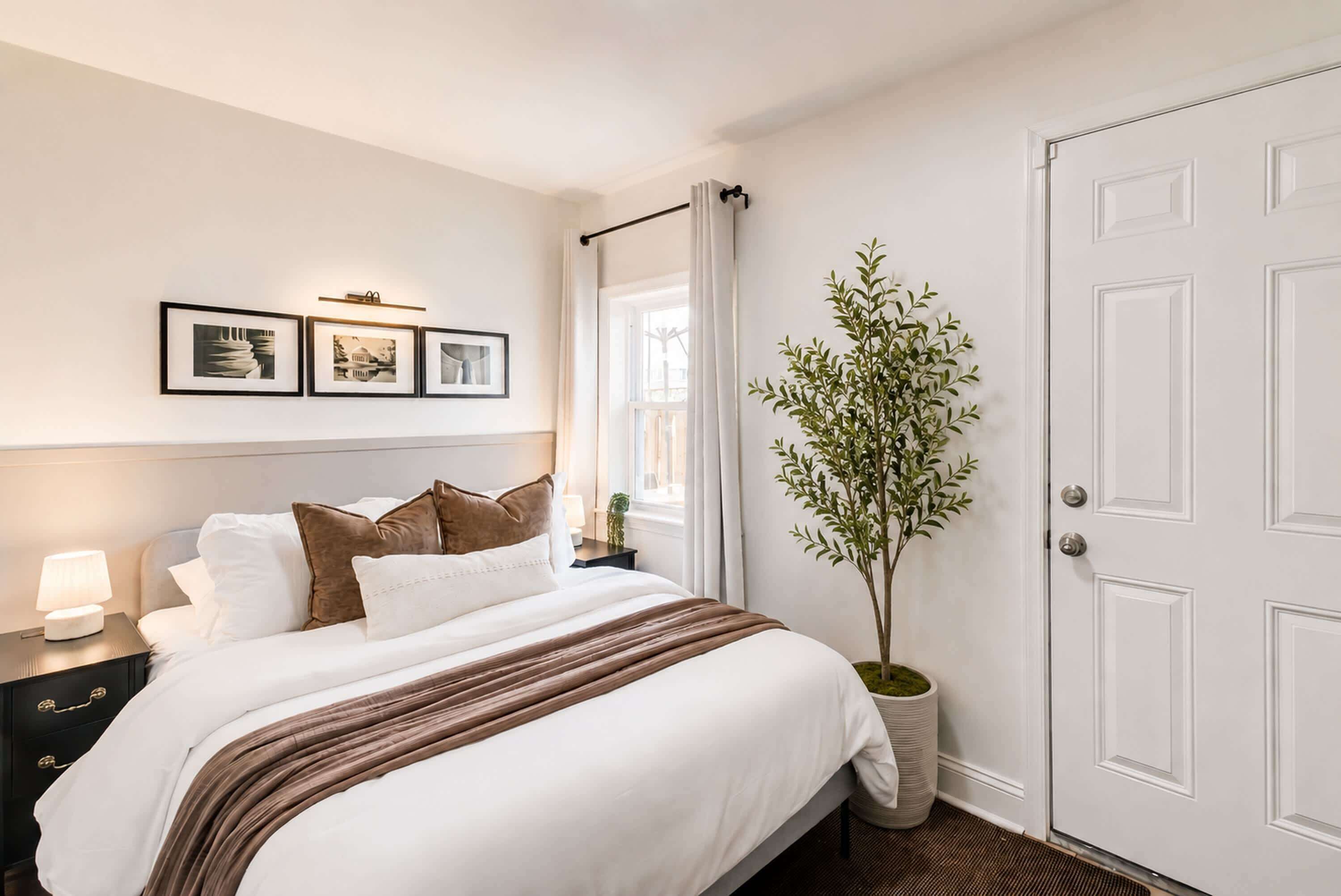 A neatly arranged hotel room with a bed, bedside table, lamp, framed pictures, a potted plant, and a white door.