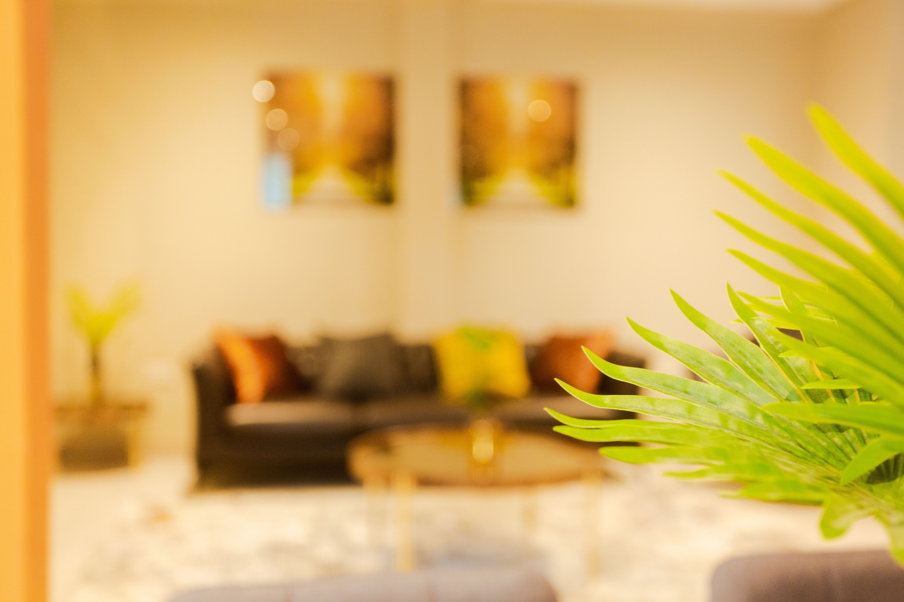 Une pièce d’intérieur floue, avec un canapé, une table basse et une plante en pot.