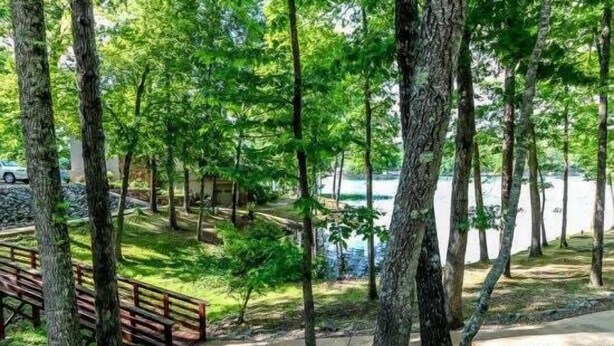 Un parque con un banco de madera, árboles y un camino que lleva a una masa de agua.