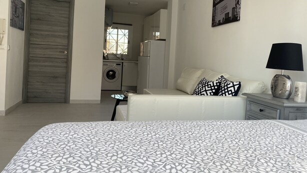 Un dormitorio con cama, una mesita de noche con lámpara, un sofá y vistas a la cocina y al área de lavandería.