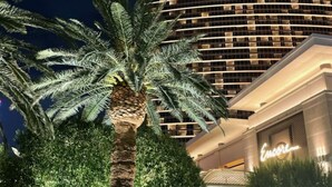 Un hotel moderno con una palmera en primer plano y un edificio de fachada enrejada al fondo.