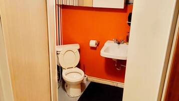 Combined shower/bathtub, hair dryer, bidet, soap