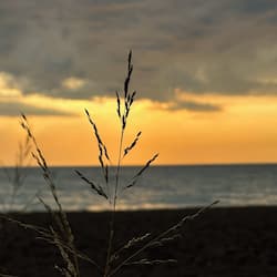 Vista a la playa o al mar