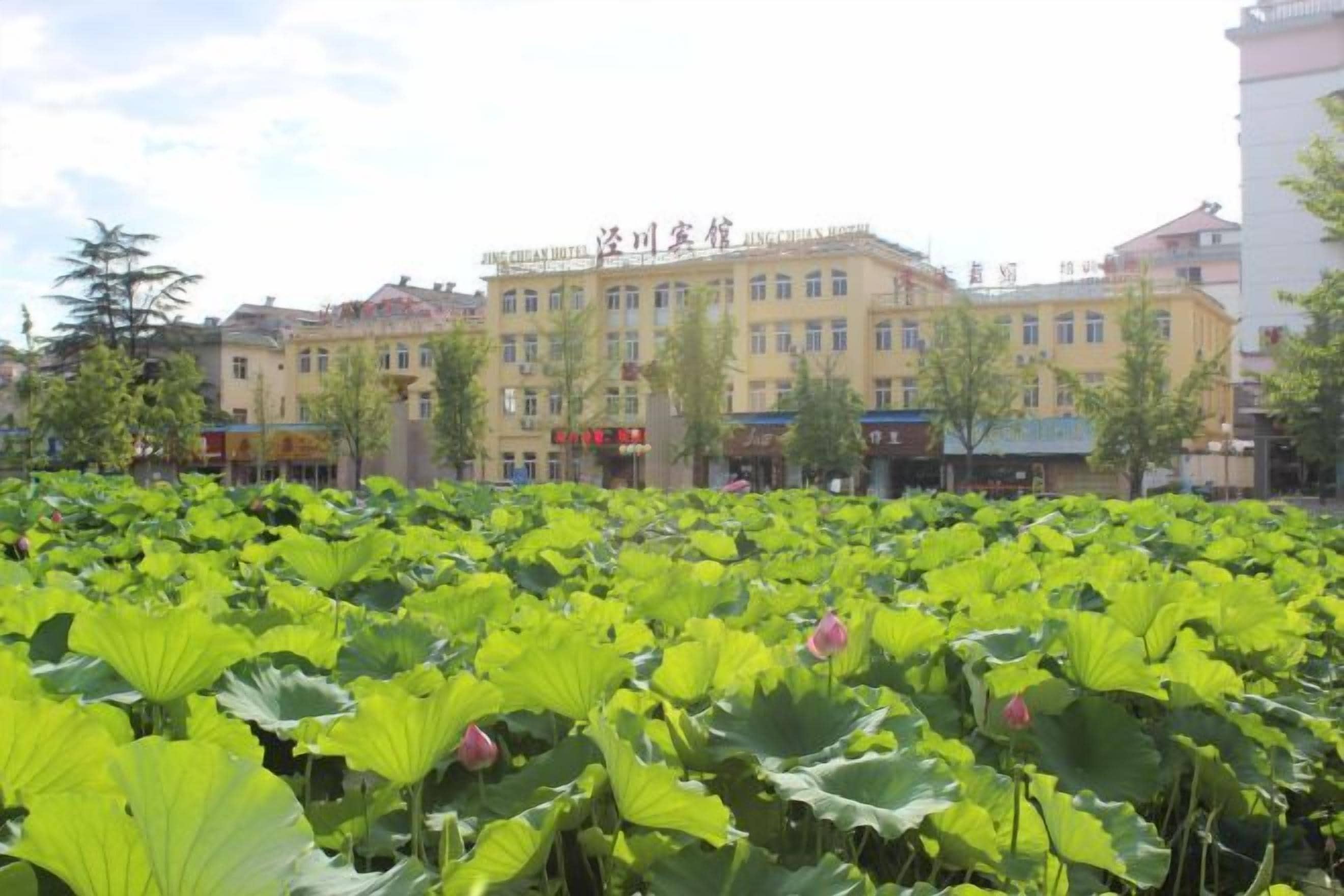 Un hôtel avec un grand bassin planté de lotus au premier plan, entouré de bâtiments portant des enseignes.