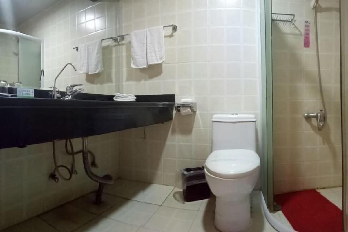 Un baño con lavabo, espejo, inodoro y ducha.