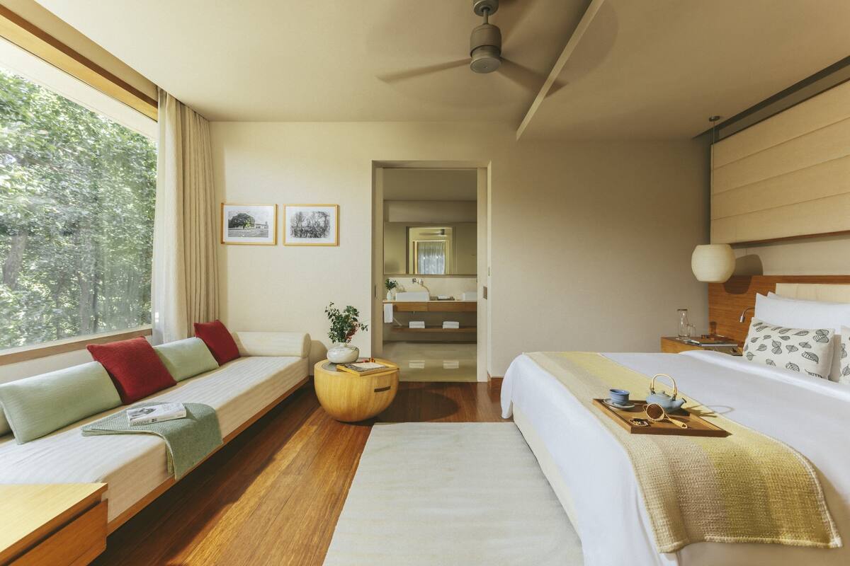 Una habitación de hotel con una cama grande, un sofá con cojines, una mesita de madera, una pequeña mesa redonda con una planta y vistas al exterior a través de una ventana.