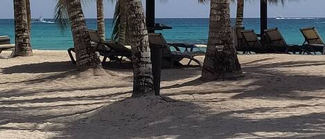 A beach with palm trees and lounge chairs.