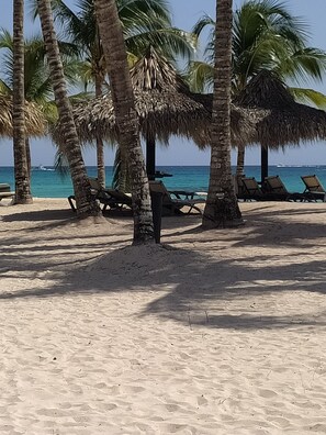 Relax in a serene beach setting with lounge chairs and palm trees providing shade.
