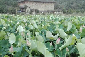Property grounds - Yuerong Inn (Nanjing County)