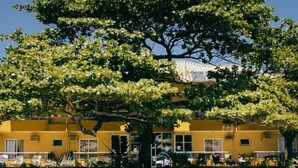 Un edificio amarillo con un gran árbol en primer plano.