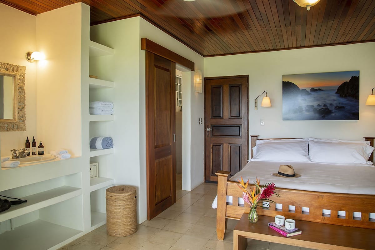 Vista Room with 1 king bed