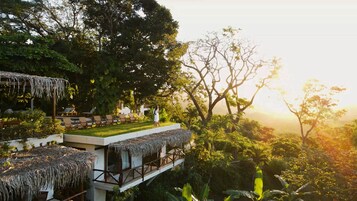 A resort with a thatched-roof structure, a pool, and lush greenery.