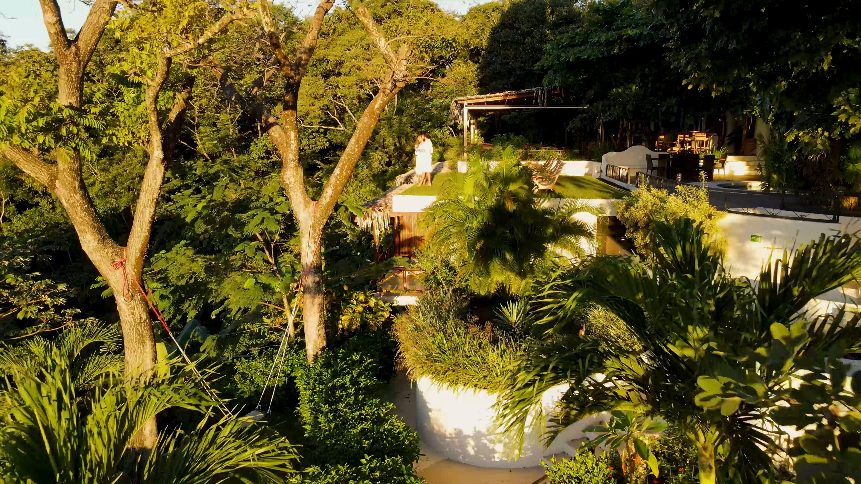 Un jardin luxuriant agrémenté d’une structure au toit de chaume, entouré d’un feuillage dense et d’une grande variété de plantes.