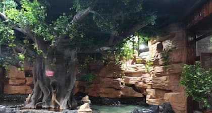 Dongyong Hot Spring Hotel