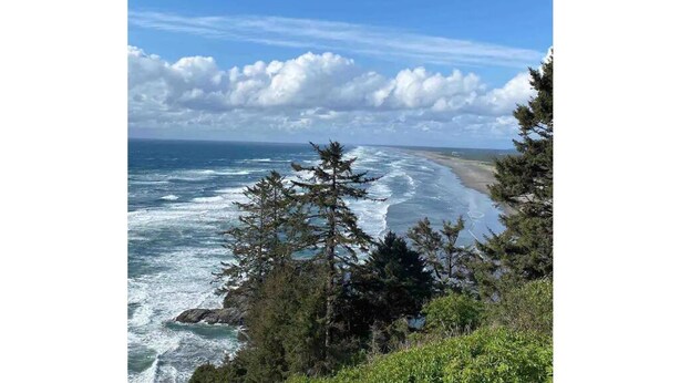 A coastal landscape with a view of the ocean, trees, and a sandy beach. - Peaceful, Fully Equipped Cabin Near Beach & Town, Certified NWF Wildlife Habitat (Seaview)