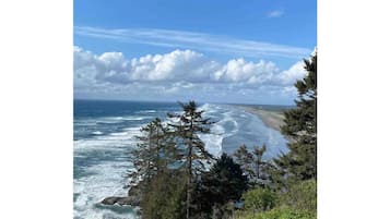 靠近海滩、沙滩椅