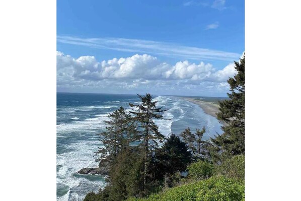 在海灘附近、躺椅