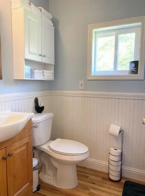 Hair dryer, towels, soap, shampoo