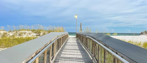 بالقرب من الشاطئ، كراسي للتشمس، مناشف للشاطئ