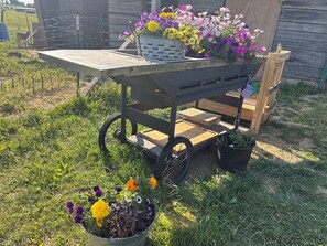 Outdoor dining - Glamping Farm Tent (Mammoth Cave)