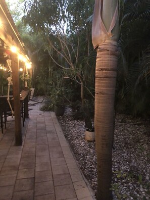 Un chemin pavé bordé de tables et de chaises, entouré de palmiers et de plantes en pot, le tout illuminé par des guirlandes lumineuses.