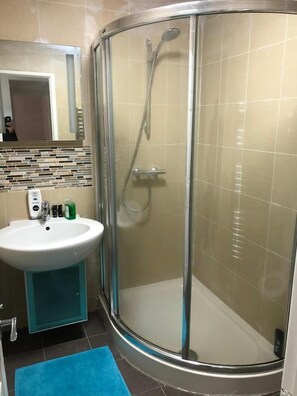 Shower, hair dryer, towels
