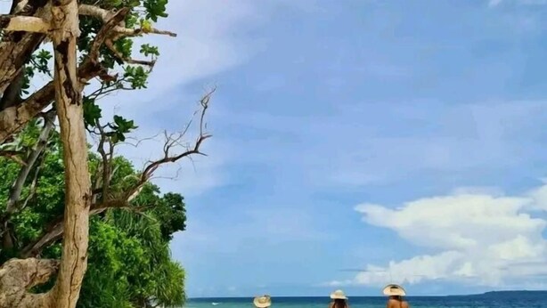 A beach with a clear sky, a sandy path, and a tree with green foliage. - Red lava show lodge (Tanna Island)