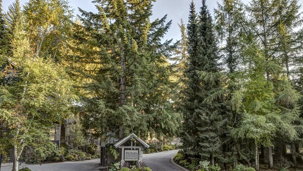 A residential area with a driveway leading to a house surrounded by tall evergreen trees. - Snowy Creek 14 - True Ski in Ski out, easy walk to Whistler Village, Private Garage. (Whistler)