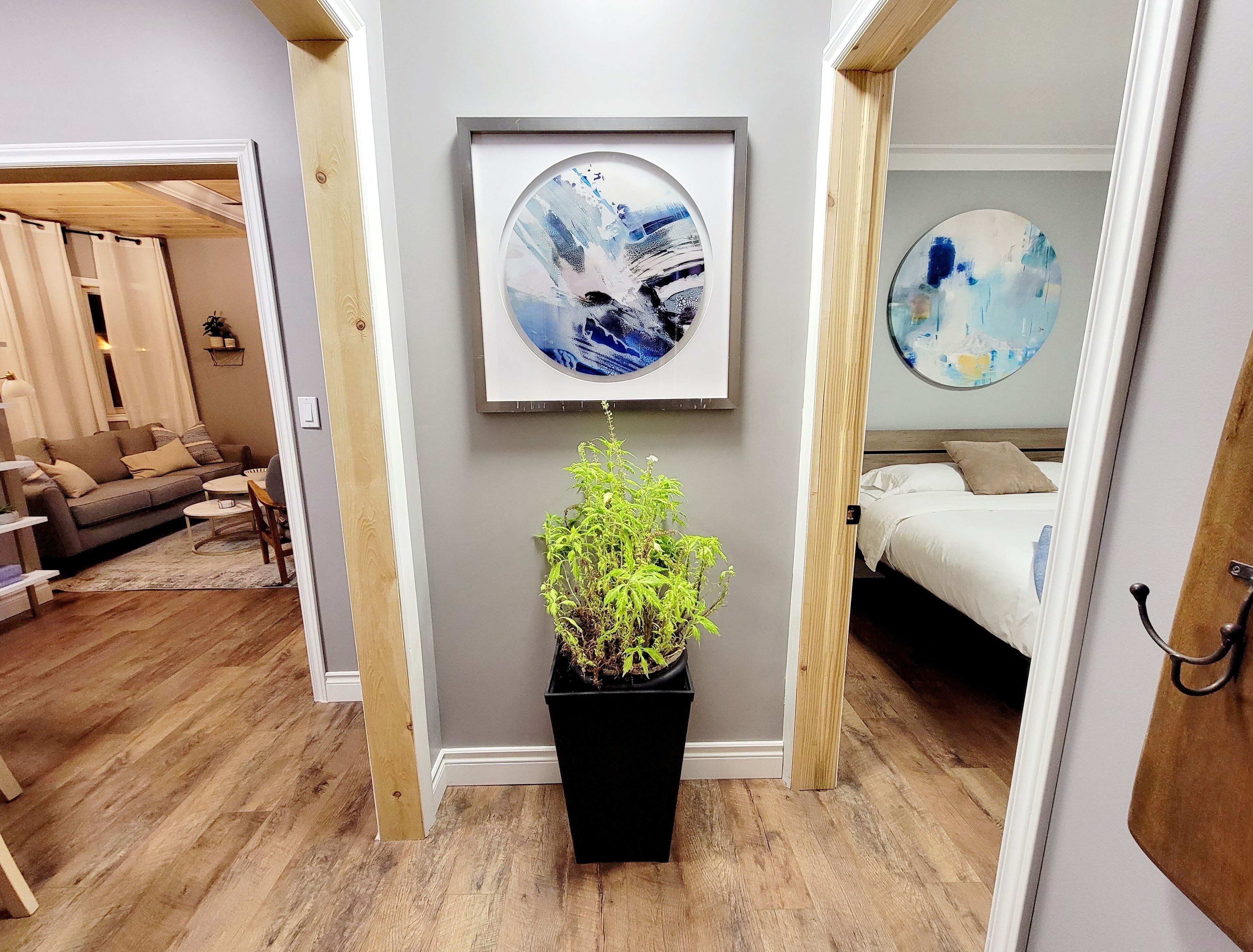 3 habitaciones, escritorio, tabla de planchar con plancha y wifi gratis 