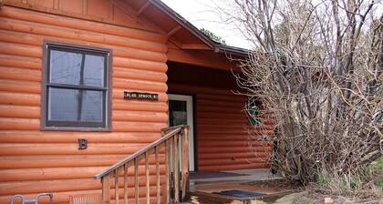 Enjoy a cozy getaway in this suite-style attached cabin
