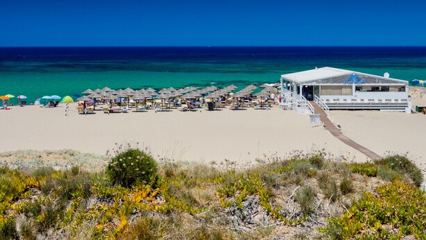 A beach with a white building, rows of umbrellas, and a clear blue sky. - Villa Natalka with garden in Valledoria (Valledoria)
