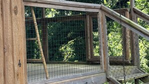A wooden deck with a metal railing, surrounded by greenery. - LE JARDIN SAINT-GERMAIN Lodges & Events (Plogastel-Saint-Germain)