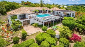 Una casa espaiosa amb piscina, envoltada de vegetació abundant i palmeres.