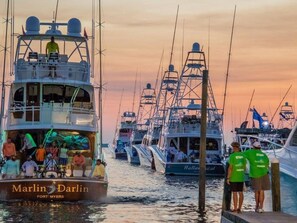 Traslado desde/hacia la terminal de ferry