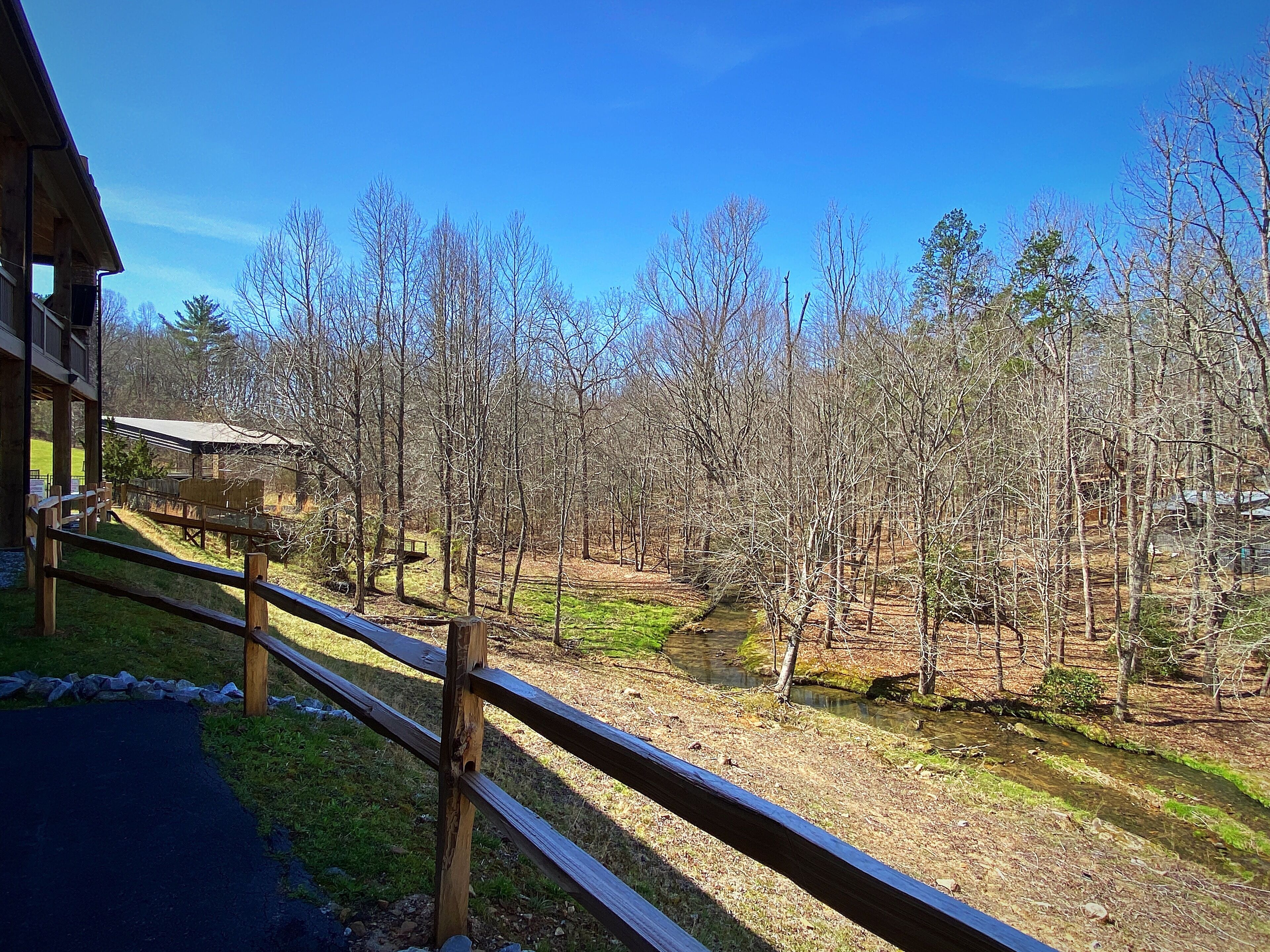 A wooden deck with a view of a forested area and a small stream.