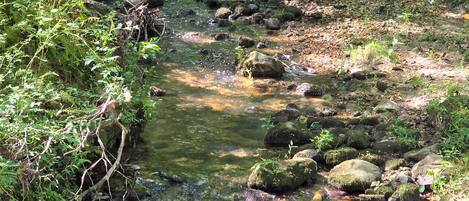 Un arroyo natural con aguas transparentes, rodeado de rocas y follaje.