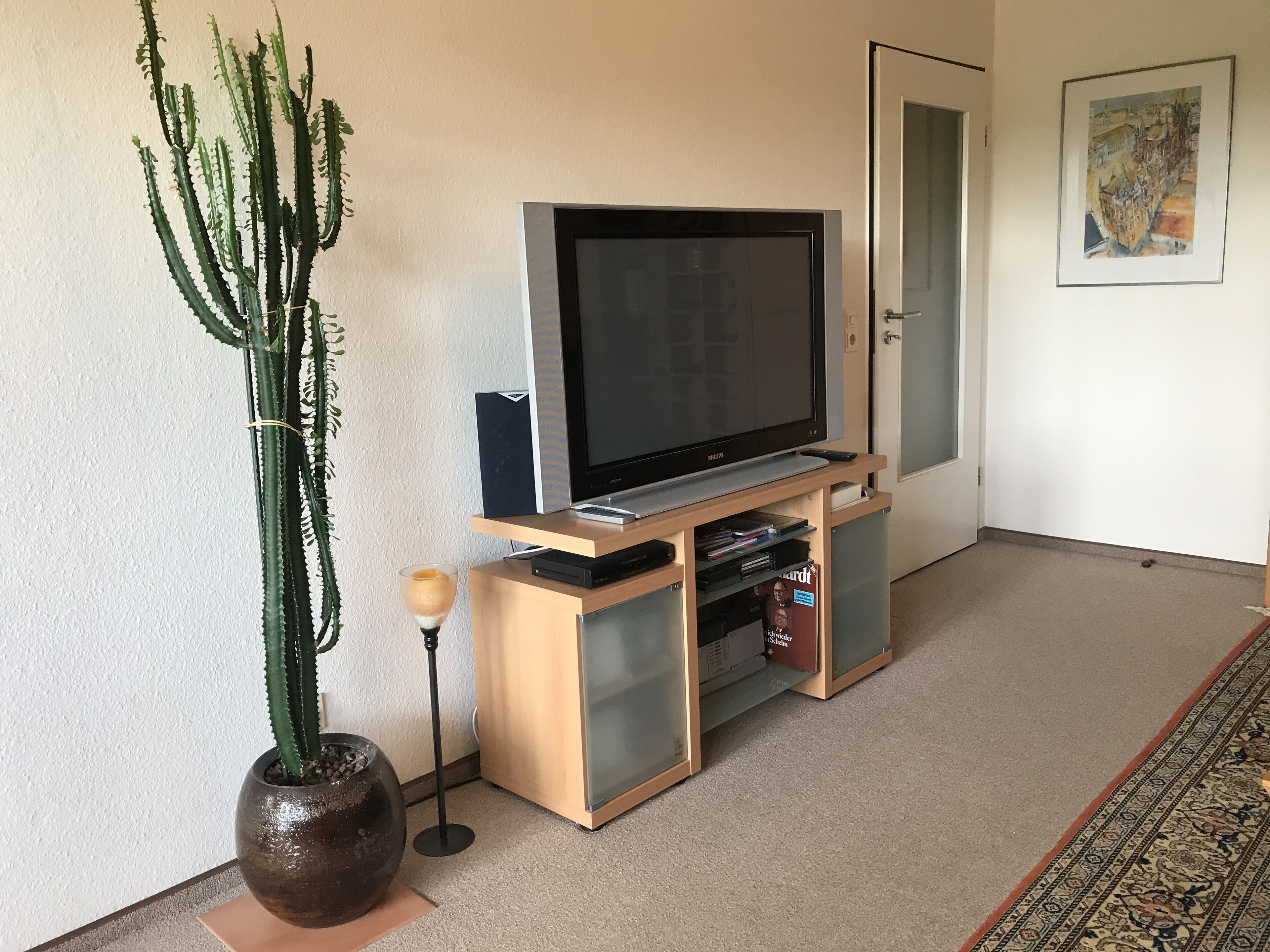 Ein Wohnzimmer mit einem Flachbildfernseher auf einem Holzboden, einem Blumentopf mit einem Kaktus und einem gerahmten Bild an der Wand.