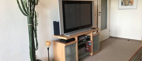 Ein Wohnzimmer mit einem Flachbildfernseher auf einem Holzboden, einem Blumentopf mit einem Kaktus und einem gerahmten Bild an der Wand.