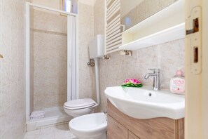 Shower, hair dryer, bidet, towels