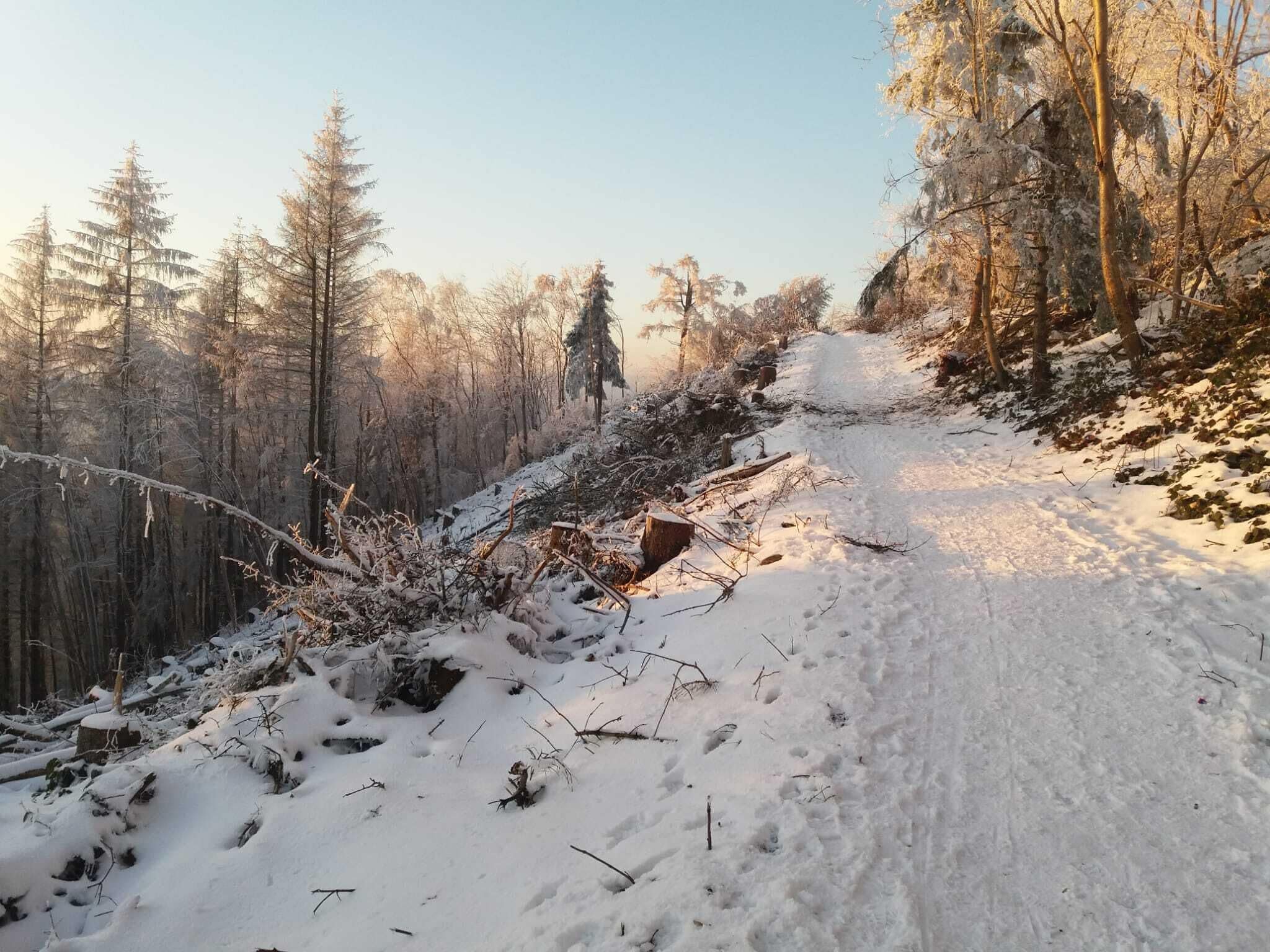 A snow-covered forest trail with trees and a clear sky.
